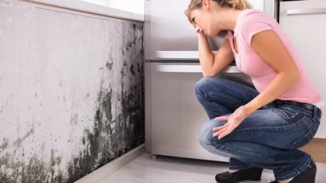 How Spray Foam Insulation Can Protect Your Home from Mold and Moisture